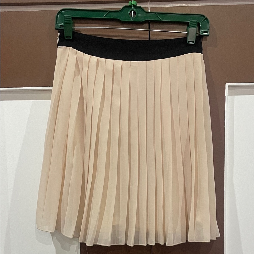 Forever 21 Black and Cream Pleated Mini Skirt